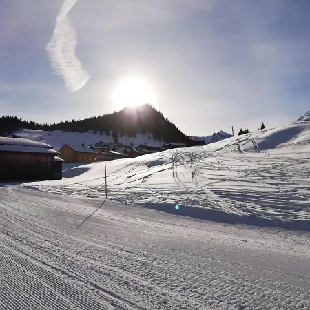 Apartmán Alphuesli Garfrescha
