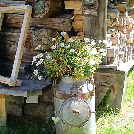 Appartamento Alphuesli Garfrescha *