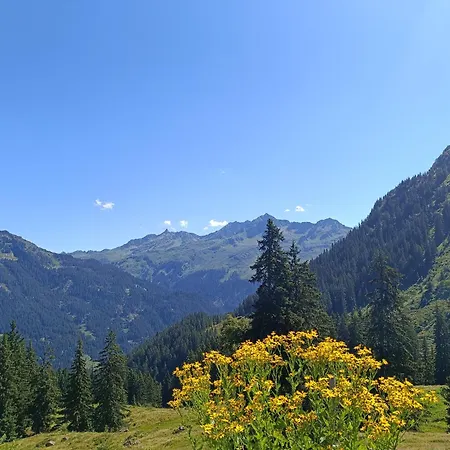 Alphüsli Garfrescha Sankt Gallenkirch