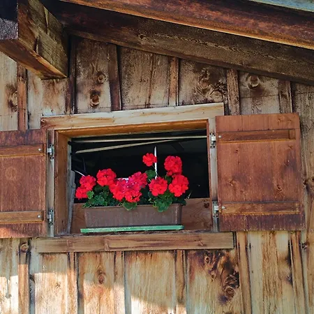 Alphuesli Garfrescha Sankt Gallenkirch
