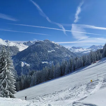 Alphuesli Garfrescha * Sankt Gallenkirch
