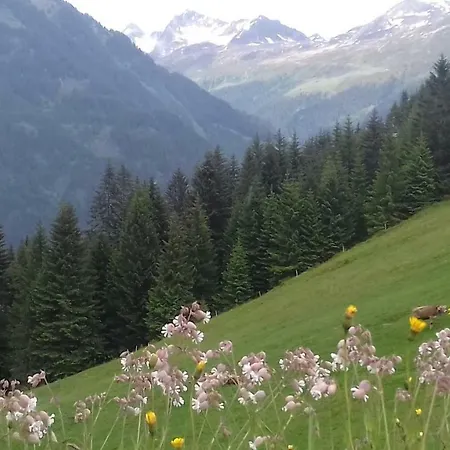 Alphüsli Garfrescha * Sankt Gallenkirch